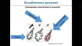 Пропедевтика внутренних болезней №4 