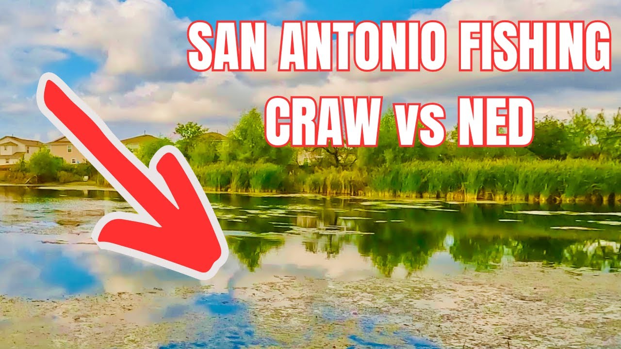 EPIC Bass Fishing CHALLENGE (small water) #bassfishing #fishing
