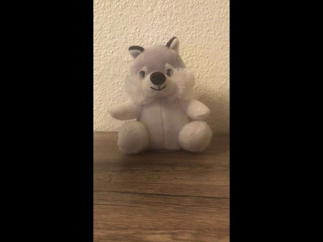 Pirate en peluche, qui parle et danse, RODA