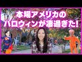 本場アメリカのハロウィンが本格的過ぎた話！(アメリカ情報編)