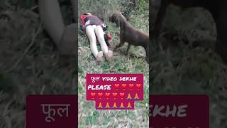 #viral #youtube #trending #video|dog sex in girl |