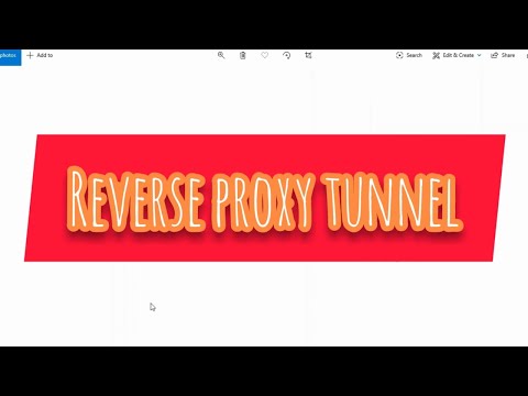 Access your localhost over the Internet