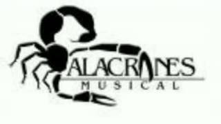 Video thumbnail of "alacranes musical el sinaloense"