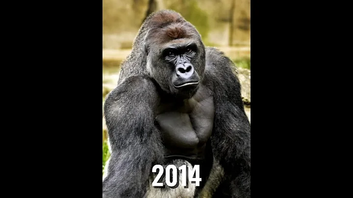 Popular Memes (Then vs Now) #meme #memes #nostalgia #legend