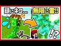 【マイクラ】知らないと損するクリーパーの豆知識！帯電クリーパーの作り方やモブの頭の入手方法、避雷針・トライデントで無限雷＆なぜ猫嫌い？頭に乗せる裏技も！【マインクラフト/Minecraft/まいくら】
