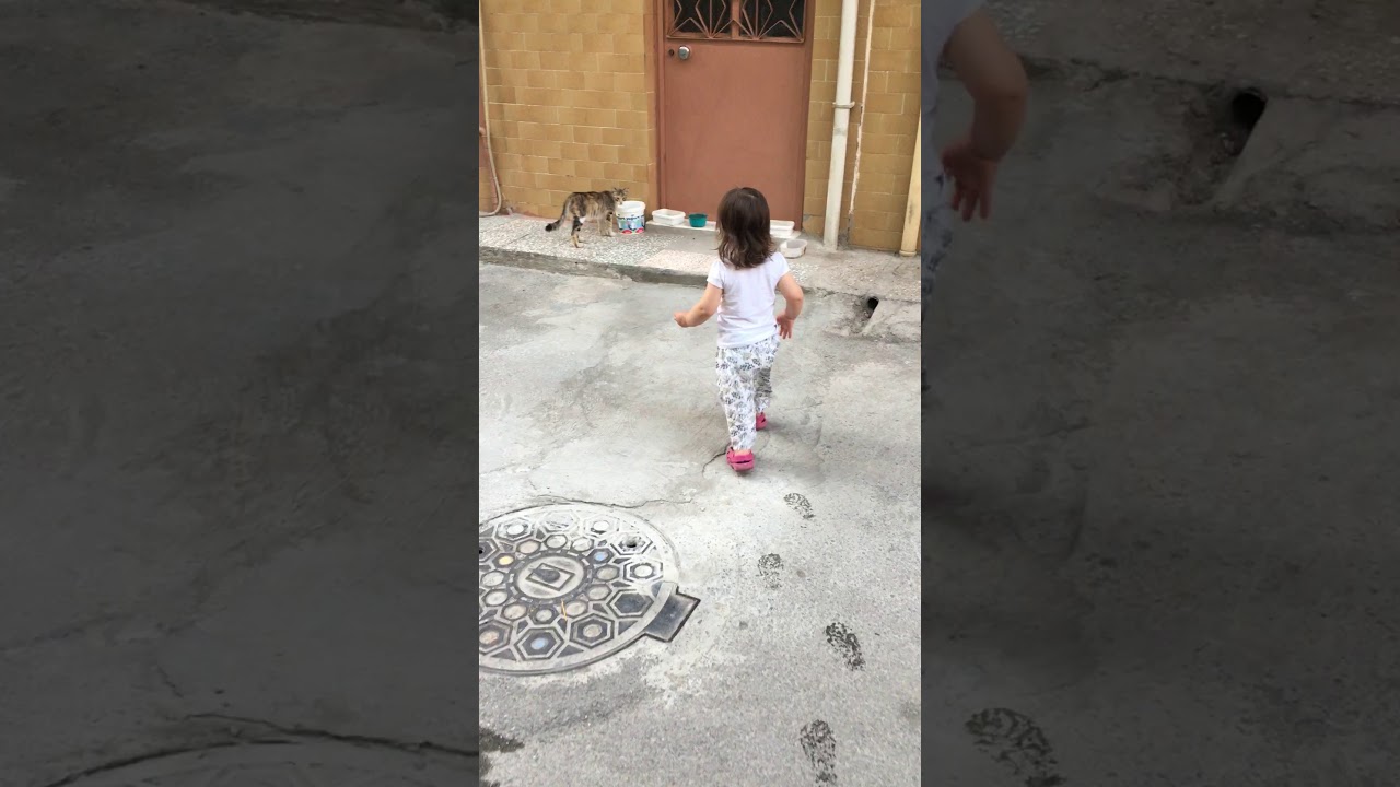 Kedi 🐈 su vermek istiyorum YouTube