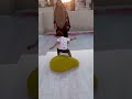 Bu şirin uşağın hərəkətli əyləncəsi, onu yaradıcılığa təşviq edər.#shorts