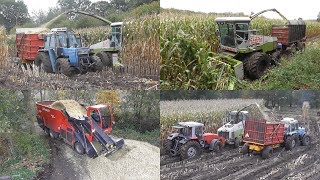 Stuck in the mud! Harvesting maize extreme!