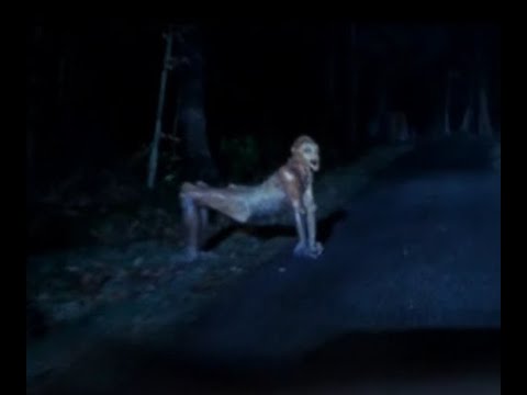 Skin Walker Skin Walker