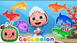 Baby Shark Learns Colors!!! @Cocomelon Nursery Rhymes