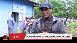 Filannoon abof Boqonnaa Haaraadhamiseensa Abo Magaalaa Dambi Doolloo Irraa