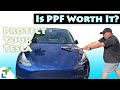 Is Paint Protection Film Worth It // Protecting Your Tesla Model Y/3 with PPF, Vinyl Wrap, & Ceramic