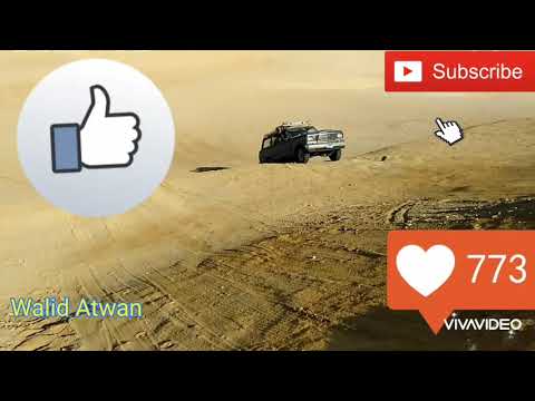 حسن شاكوش واغنية يا هوايا ووليد عطوان وسفاري الفيوم