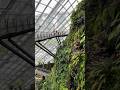 Cloud Forest in Gardens by the Bay, Singapore. A must visit place. #viral #traveldestinations #sin