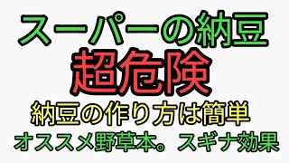 スーパーの納豆は危険！納豆の作り方は簡単なので自分で作りましょう。オススメの野草本。スギナ効果。