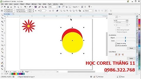 Tuyển sinh lớp học corel tháng 11 năm 2021 | Dạy thiết kế đồ hoạ corel draw
