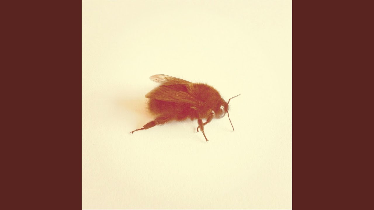 Watch Spindle on YouTube Watch Spindle on YouTube