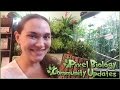 80,000 Community Members & Our Living Wall of Plants!! • Pixel Biology Updates