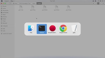 Create Final Text file to Train yolo