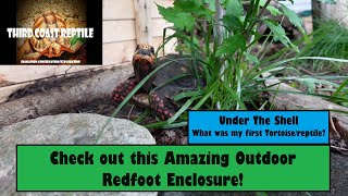 Check out This Amazing Outdoor Redfoot Enclosure!