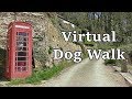 Relaxing TV for Dogs - Virtual Dog Walk with Gentle Music ✅