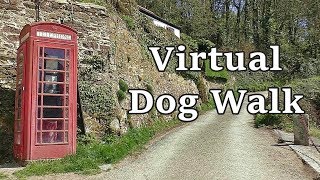 Relaxing TV for Dogs - Virtual Dog Walk with Gentle Music ✅