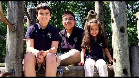 Mediated Learning Academy