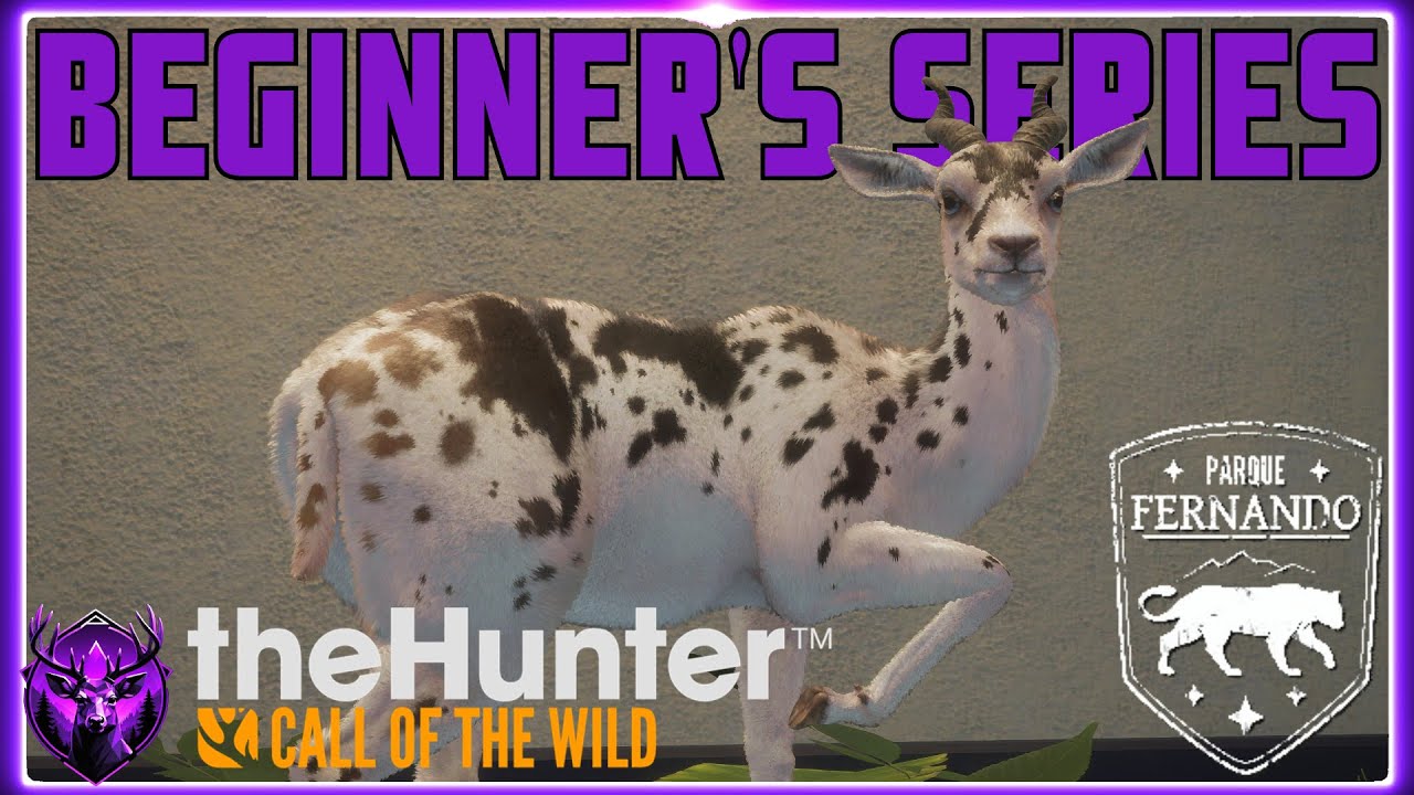 A Beginner's Guide to Parque Fernando in 2025