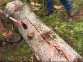 how to split cedar logs for rails or posts tutorial how to split cedar logs for rails or posts tutorial