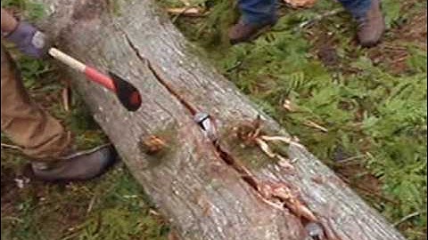 how to split cedar logs for rails or posts tutorial