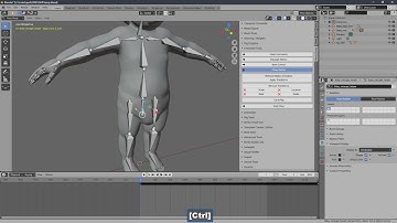 Bento Buddy - Blender - Baby playing with ball