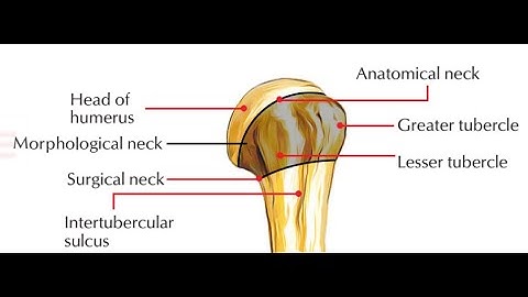 Closed Treatment of  Fracture CPT code - simplify medical coding