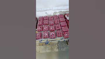 كاتشب العجايبي 