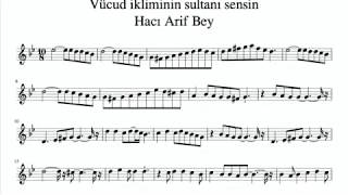 Vücud ikliminin sultanı sensin (enstrümantal) - Dr.Ahmet Kutlay Resimi