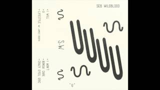 Seb Wildblood - I Won't
