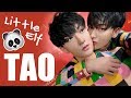 ТАО - МАЛЕНЬКИЙ (ПАНДА) ЭЛЬФ | Z.TAO EXO ARI RANG