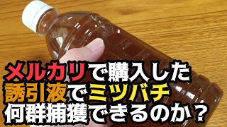 メルカリで購入した誘引液でミツバチ何群捕獲できるのか？【オタク養蜂】