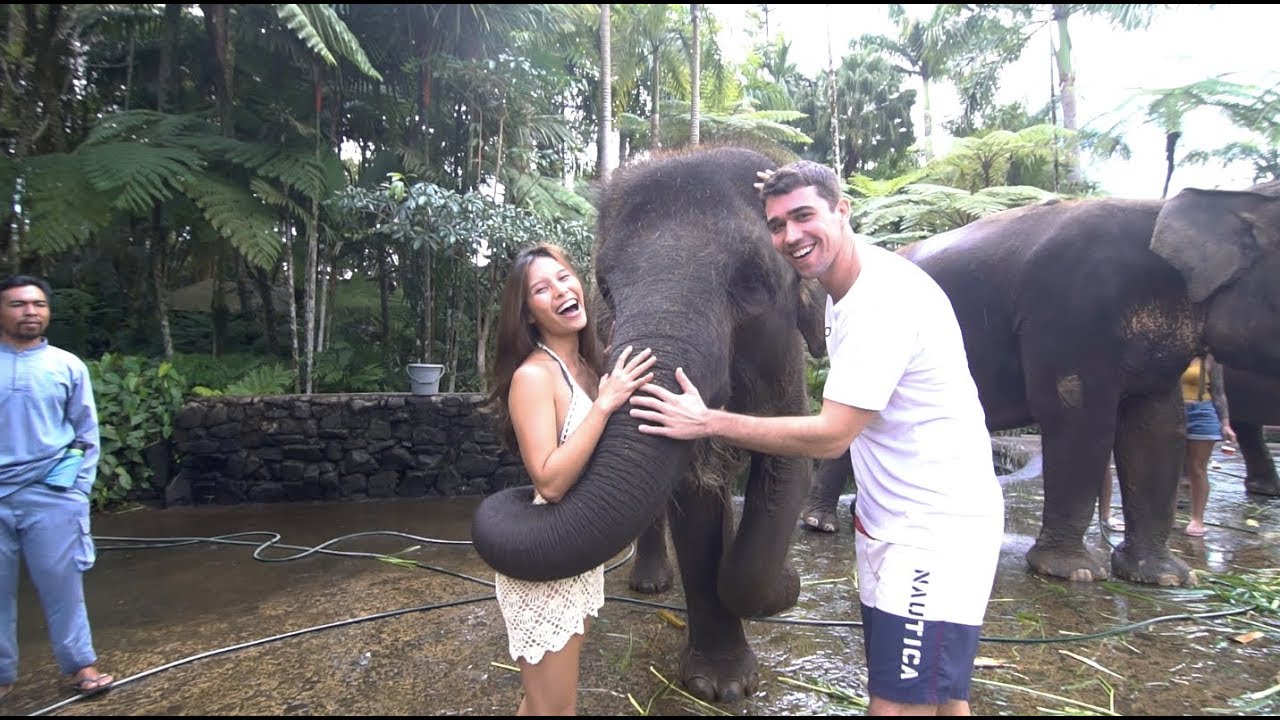 Elephant Bath & Breakfast | ForeverVacation Bali