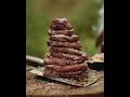 @BibekBhattar Giant Filet Steak Meat Crispy Bacon Cheese Toast Cooking Amazing Yummy Style