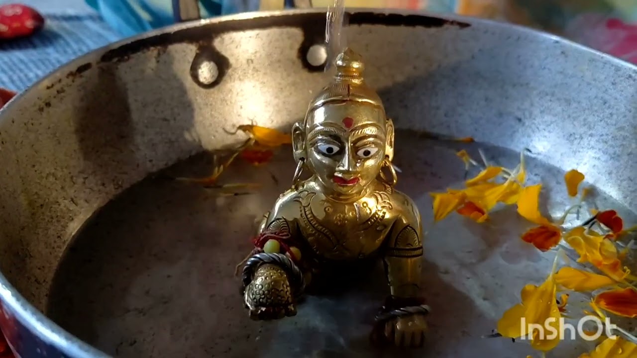 गुलाल भरी होली मेरे कान्हा जी के साथ🙏🙏🙏🙏🙏🙏💖❤️❤️💖❤️❤️❤️💖