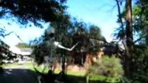 Skeleton Puppet Romp