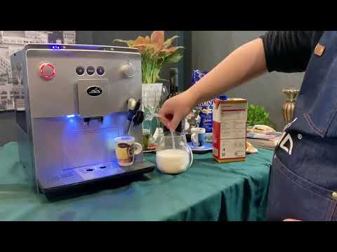 JAVA Fully Auto Coffee Machine WSD18-060: How To Make Milk Foam