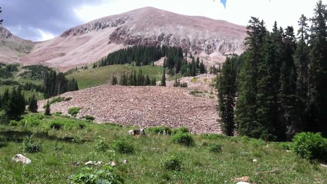 Creek @ the Base of Mt. Peale, Moab Utah