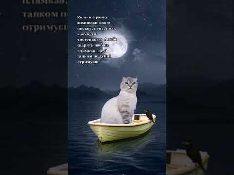 Смешные подборки с животными |лучшие приколы 2023 | тикток приколы #shorts