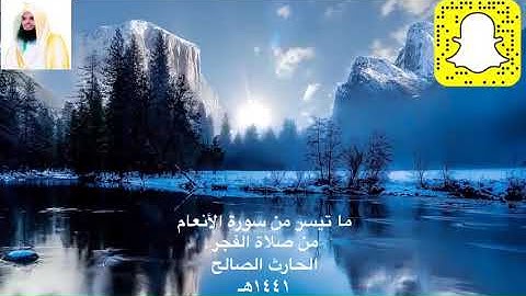 ( إن الله فالق الحب والنوى ) تلاوة حسناء من صلاة الفجر القارئ الحارث الصالح وفقه الله ١٤٤١هـ