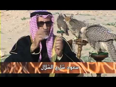 برنامج وثائقي الصقر