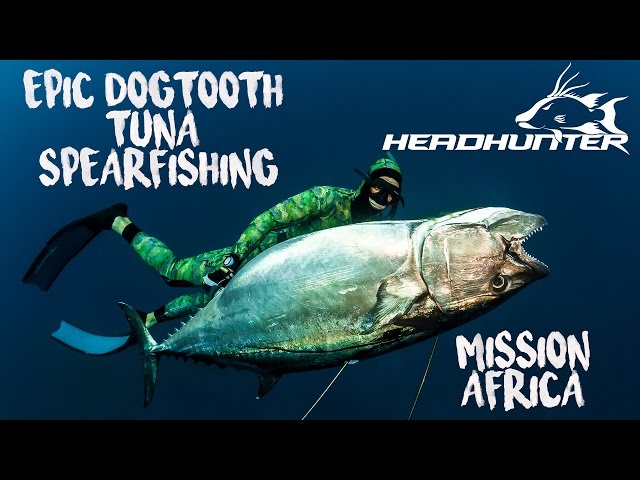 EPIC Dogtooth Tuna Spearfishing: Mission Africa class=