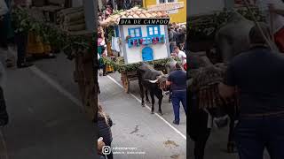 REINOSA #turismo #travel #fiestas #tradiciones #España #europa #reinosa #cantabria #folclore #viral