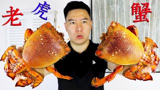 Xiao wen spent 400 yuan on 2 Laohu crabs, and he is so fortunate.