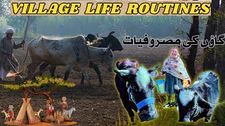 Daily Routine Village Life In Pakistan | Adventure In Village | Adventurer Guy